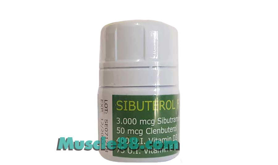 SIBUTEROL FORTE 120 (Vital Research)